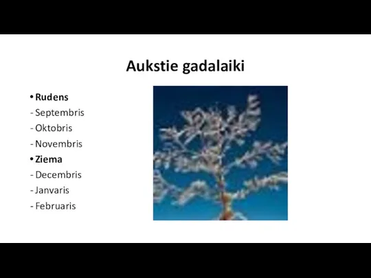 Aukstie gadalaiki Rudens Septembris Oktobris Novembris Ziema Decembris Janvaris Februaris