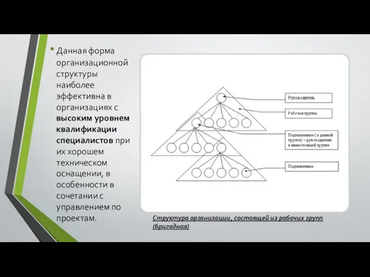 Данная форма организационной структуры наиболее эффективна в организациях с высоким уровнем квалификации