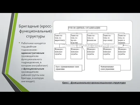 Бригадные (кросс-функциональные) структуры Работники находятся под двойным подчинением - административным (руководителю функционального