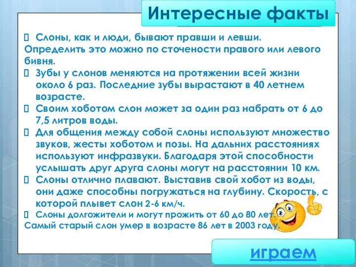 Интересные факты играем Слоны, как и люди, бывают правши и левши. Определить