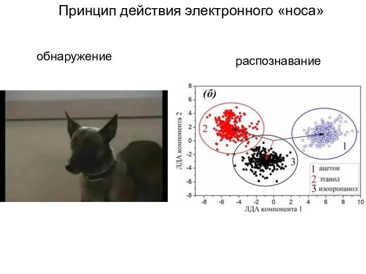 Принцип действия электронного «носа» обнаружение распознавание