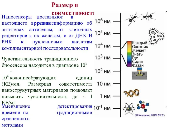 Наносенсоры доставляют в режиме настоящего времени информацию об антителах антигенам, от клеточных