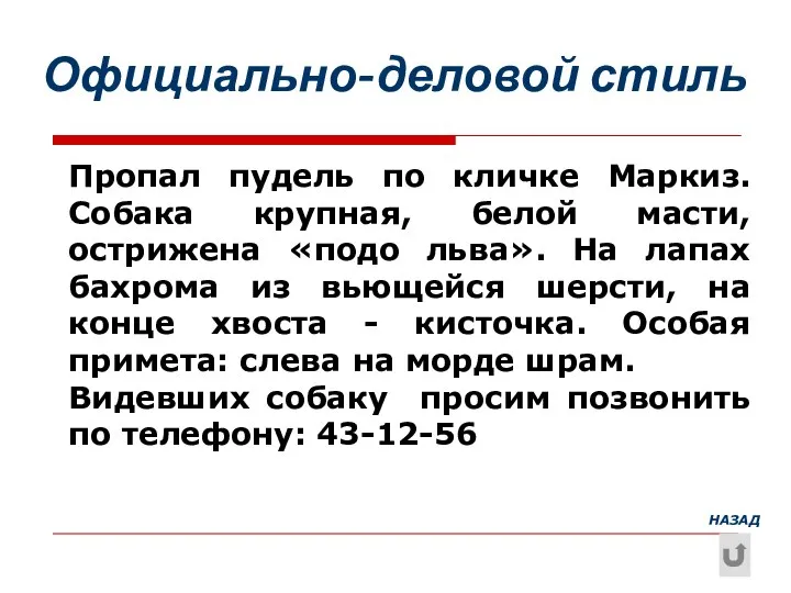 Пропал пудель по кличке Маркиз. Собака крупная, белой масти, острижена «подо льва».