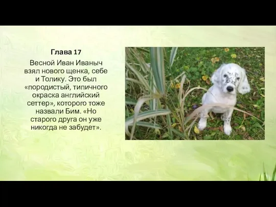 Глава 17 Весной Иван Иваныч взял нового щенка, себе и Толику. Это