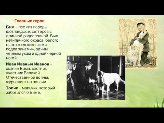 Главные герои Бим – пес «из породы шотландских сеттеров с длинной родословной.