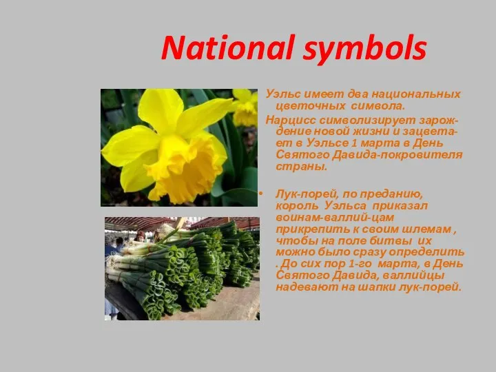 National symbols Уэльс имеет два национальных цветочных символа. Нарцисс символизирует зарож-дение новой