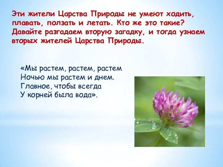 «Мы растем, растем, растем Ночью мы растем и днем. Главное, чтобы всегда