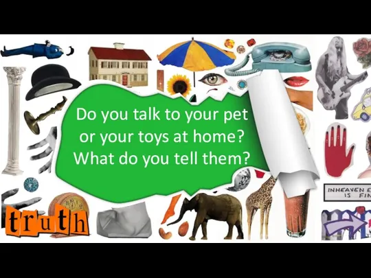Do you talk to your pet or your toys at home? What do you tell them?