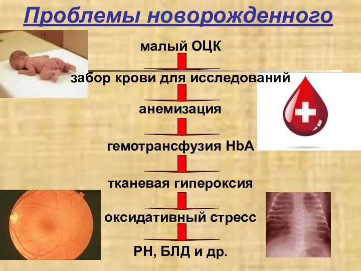 Проблемы новорожденного малый ОЦК забор крови для исследований анемизация гемотрансфузия HbA тканевая