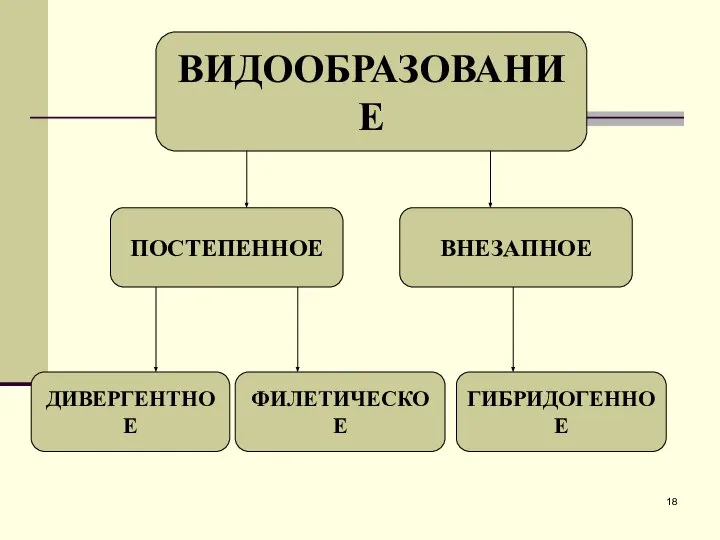 ВИДООБРАЗОВАНИЕ ПОСТЕПЕННОЕ ВНЕЗАПНОЕ ДИВЕРГЕНТНОЕ ФИЛЕТИЧЕСКОЕ ГИБРИДОГЕННОЕ