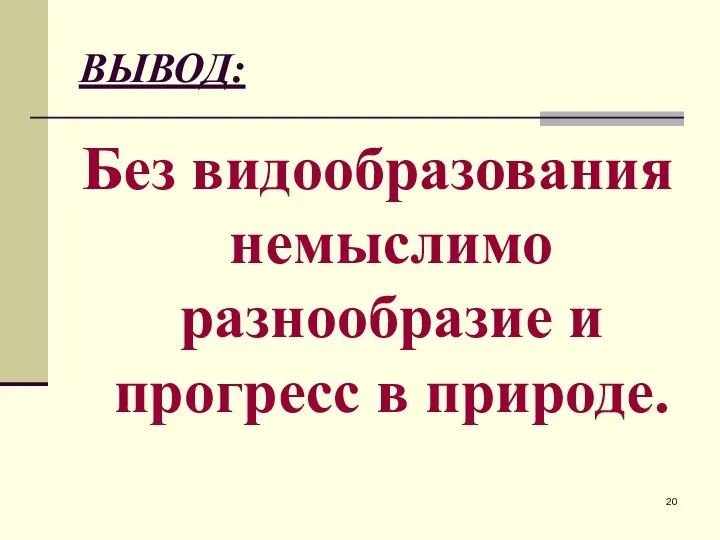 ВЫВОД: Без видообразования немыслимо разнообразие и прогресс в природе.