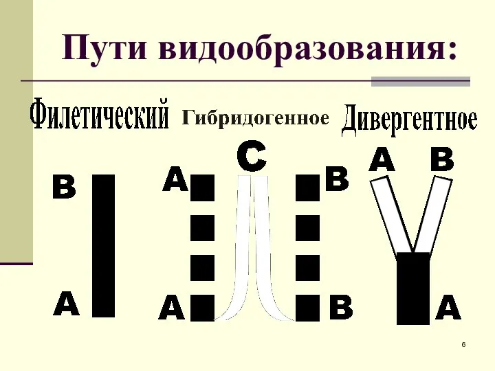 Пути видообразования: