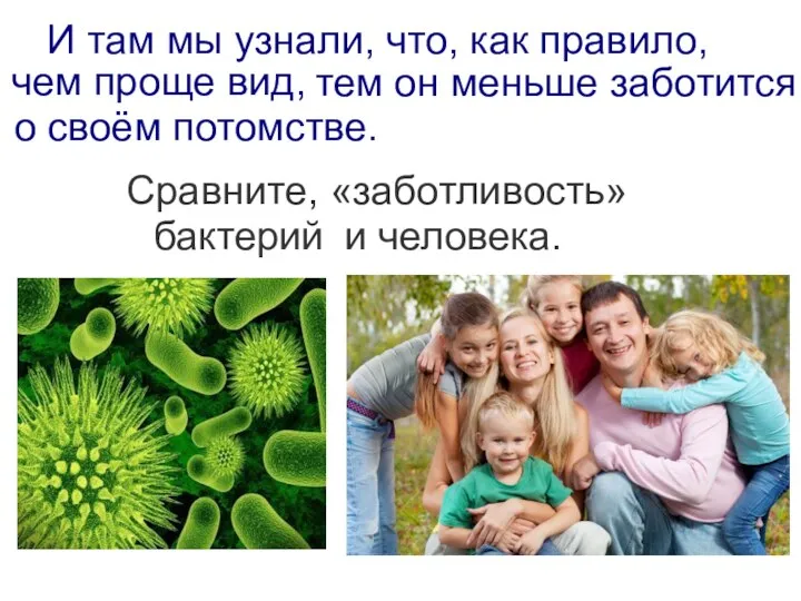 И там мы узнали, что, как правило, и человека. Сравните, «заботливость» бактерий