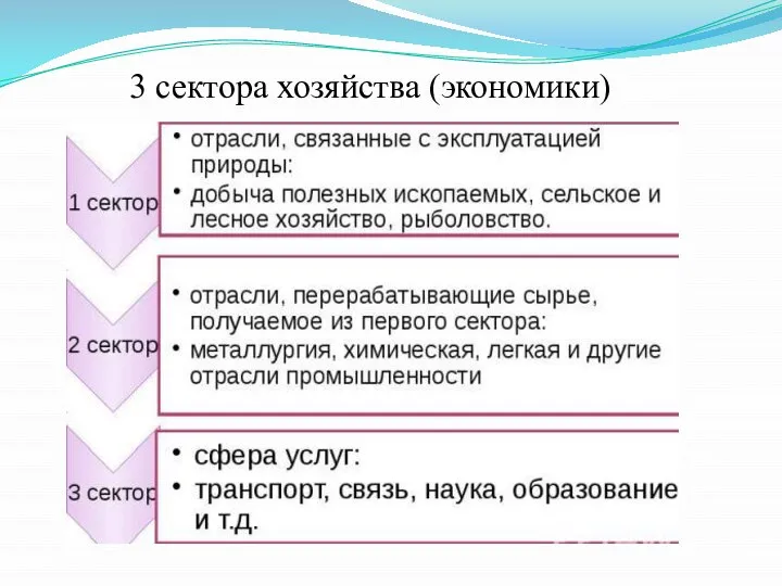 3 сектора хозяйства (экономики)