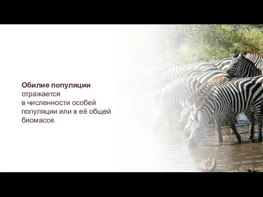 Обилие популяции отражается в численности особей популяции или в её общей биомассе.