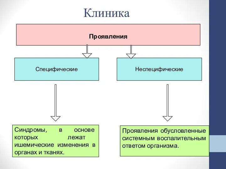 Проявления Неспецифические Синдромы, в основе которых лежат ишемические изменения в органах и