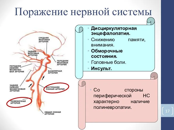 Поражение нервной системы Дисциркуляторная энцефалопатия. Снижению памяти, внимания. Обморочные состояния. Головные боли.