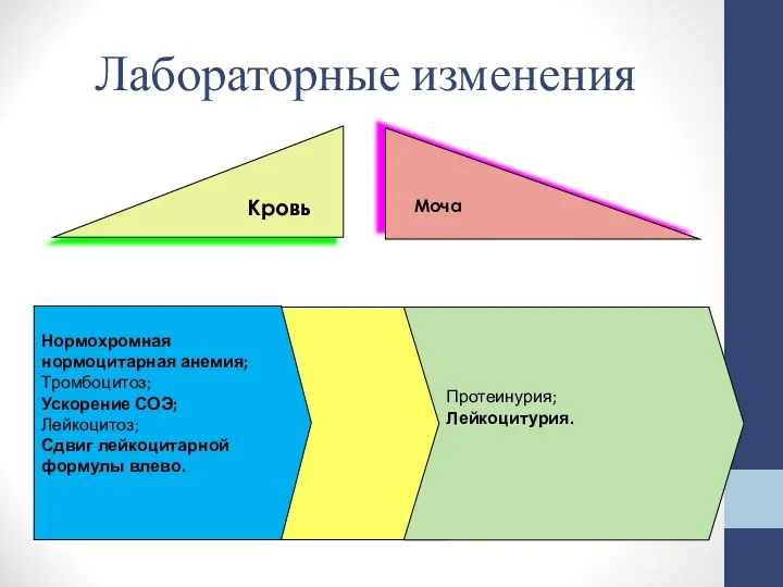 Кровь Моча Протеинурия; Лейкоцитурия. Нормохромная нормоцитарная анемия; Тромбоцитоз; Ускорение СОЭ; Лейкоцитоз; Сдвиг