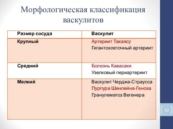 Морфологическая классификация васкулитов