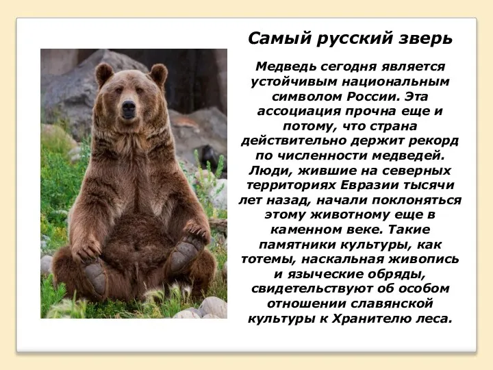 Самый русский зверь Медведь сегодня является устойчивым национальным символом России. Эта ассоциация