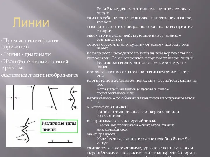 Линии Прямые линии (линия горизонта) Линии - диагонали Изогнутые линии, «линия красоты»