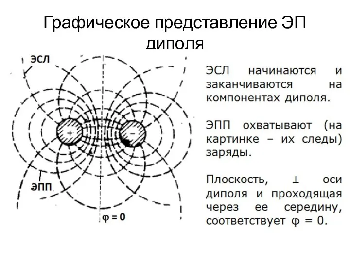 Графическое представление ЭП диполя