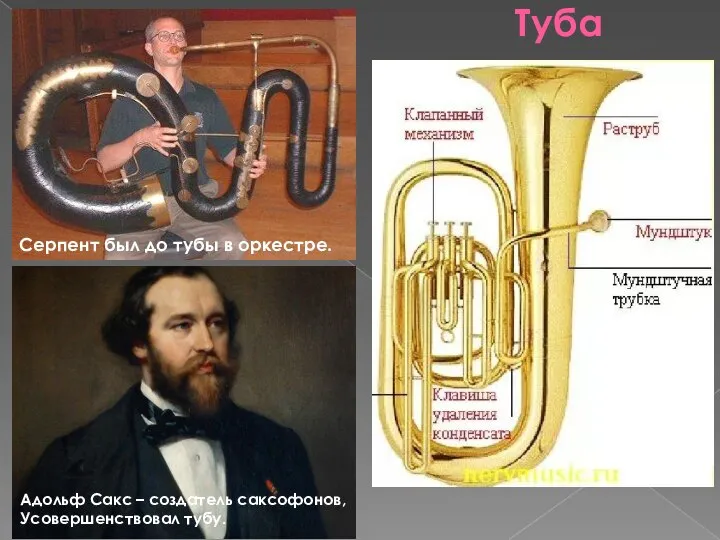 Туба Адольф Сакс – создатель саксофонов, Усовершенствовал тубу. Серпент был до тубы в оркестре.