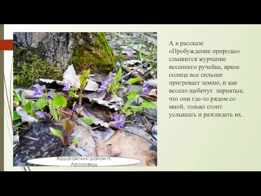 А в рассказе «Пробуждение природы» слышится журчание весеннего ручейка, яркое солнце все