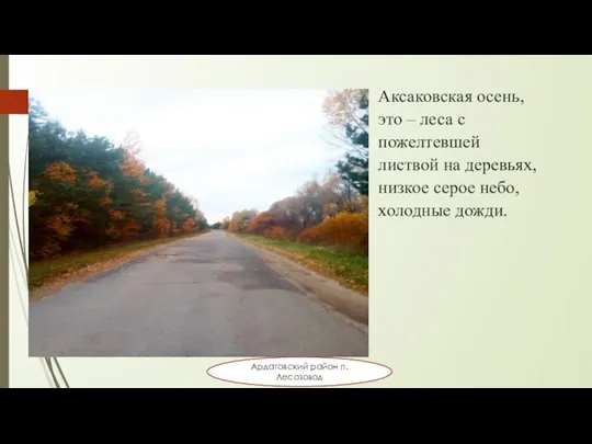 Аксаковская осень, это – леса с пожелтевшей листвой на деревьях, низкое серое