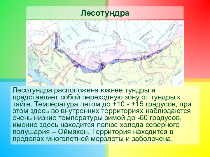 Лесотундра Лесотундра расположена южнее тундры и представляет собой переходную зону от тундры