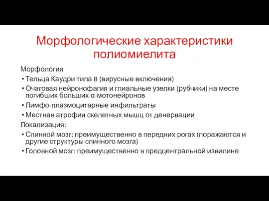 Морфологические характеристики полиомиелита Морфология Тельца Каудри типа B (вирусные включения) Очаговая нейронофагия