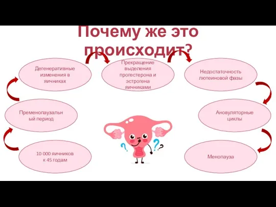 Почему же это происходит? 10 000 яичников к 45 годам Дегенеративные изменения