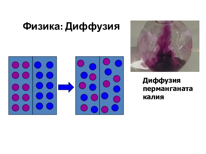 Физика: Диффузия Диффузия перманганата калия