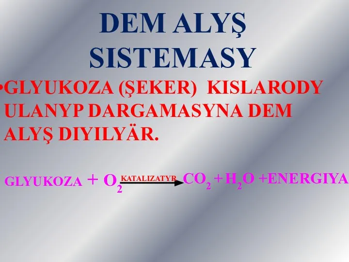 DEM ALYŞ SISTEMASY GLYUKOZA (ŞEKER) KISLARODY ULANYP DARGAMASYNA DEM ALYŞ DIYILYÄR. GLYUKOZA