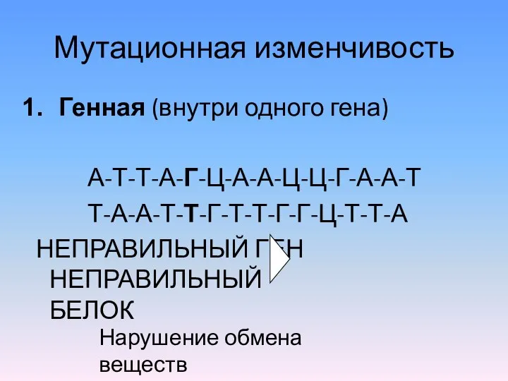 Мутационная изменчивость Генная (внутри одного гена) А-Т-Т-А-Г-Ц-А-А-Ц-Ц-Г-А-А-Т Т-А-А-Т-Т-Г-Т-Т-Г-Г-Ц-Т-Т-А НЕПРАВИЛЬНЫЙ ГЕН НЕПРАВИЛЬНЫЙ БЕЛОК