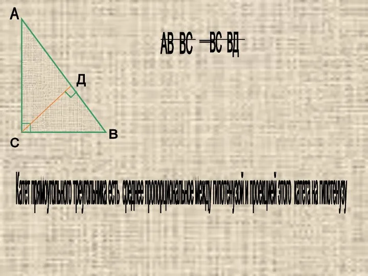А В С Д Катет прямоугольного треугольника есть среднее пропорциональное между гипотенузой