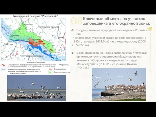 Государственный природный заповедник «Ростовский». 4 кластерных участка и охранная зона (организован в