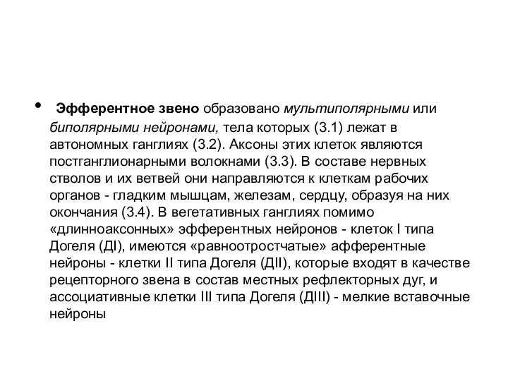 Эфферентное звено образовано мультиполярными или биполярными нейронами, тела которых (3.1) лежат в