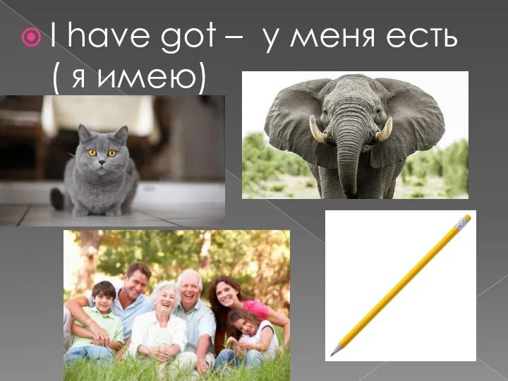 I have got – у меня есть ( я имею)