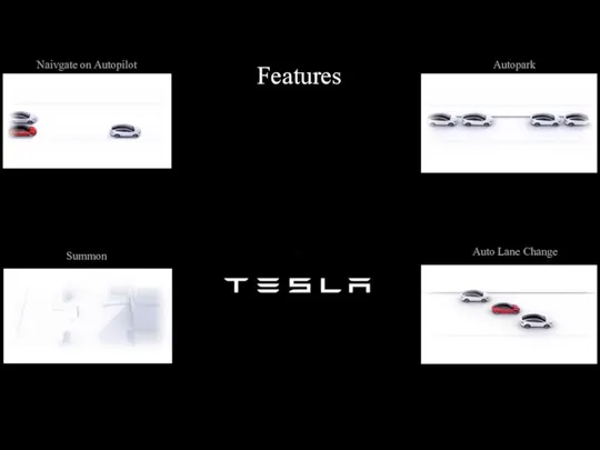 Naivgate on Autopilot Summon Autopark Auto Lane Change Features