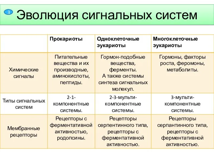 Эволюция сигнальных систем 3