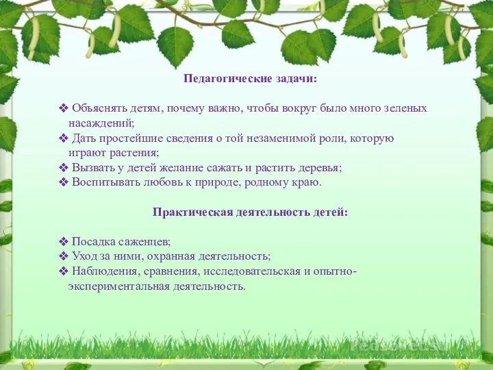 Педагогические задачи: Объяснять детям, почему важно, чтобы вокруг было много зеленых насаждений;