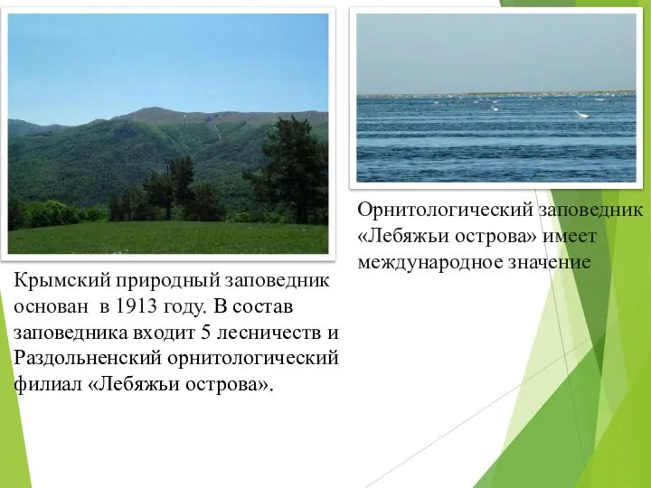 Крымский природный заповедник основан в 1913 году. В состав заповедника входит 5