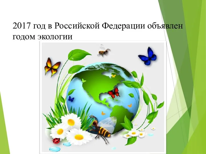 2017 год в Российской Федерации объявлен годом экологии