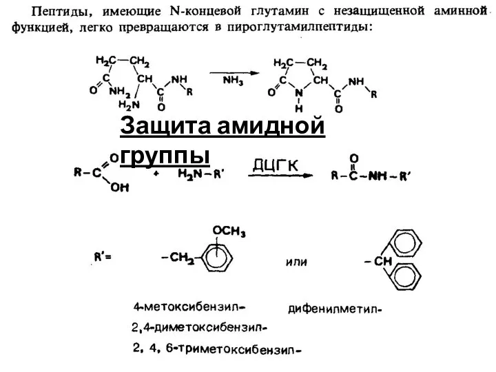 Защита амидной группы