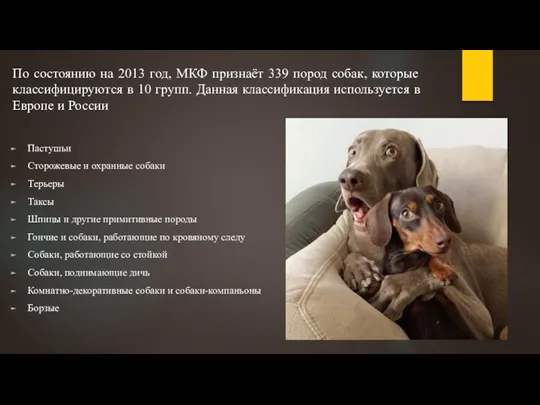 По состоянию на 2013 год, МКФ признаёт 339 пород собак, которые классифицируются