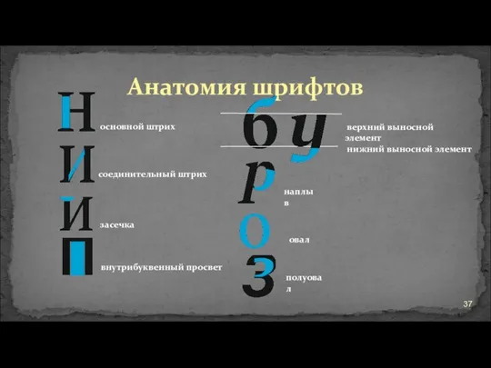 Анатомия шрифтов oсновной штрих соединительный штрих засечка внутрибуквенный просвет верхний выносной элемент