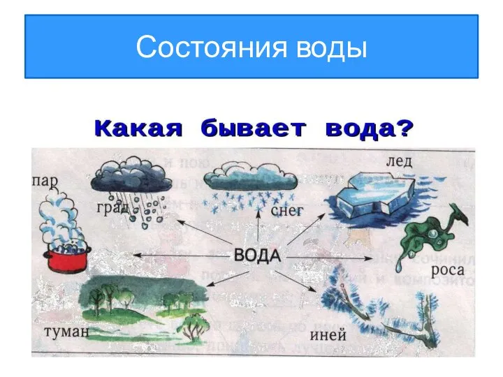 Состояния воды