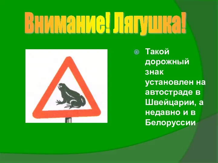 Такой дорожный знак установлен на автостраде в Швейцарии, а недавно и в Белоруссии Внимание! Лягушка!