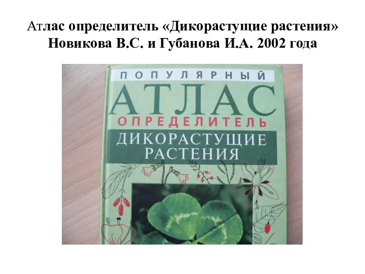 Атлас определитель «Дикорастущие растения» Новикова В.С. и Губанова И.А. 2002 года